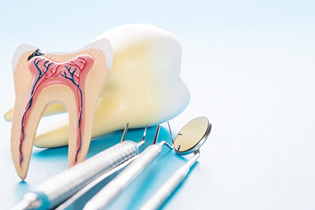 Burke Dental